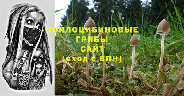 спайс Баксан