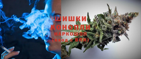 спайс Баксан