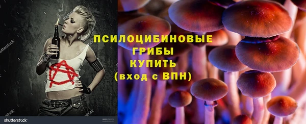спайс Баксан